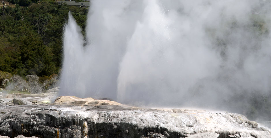 Whakarewarewa The Living Thermal Village - Geyser